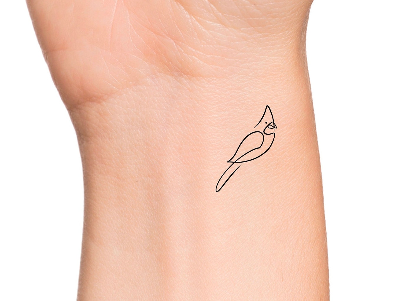 Fine Line Cardinal Temporary Tattoo  Set of 3  Tatteco