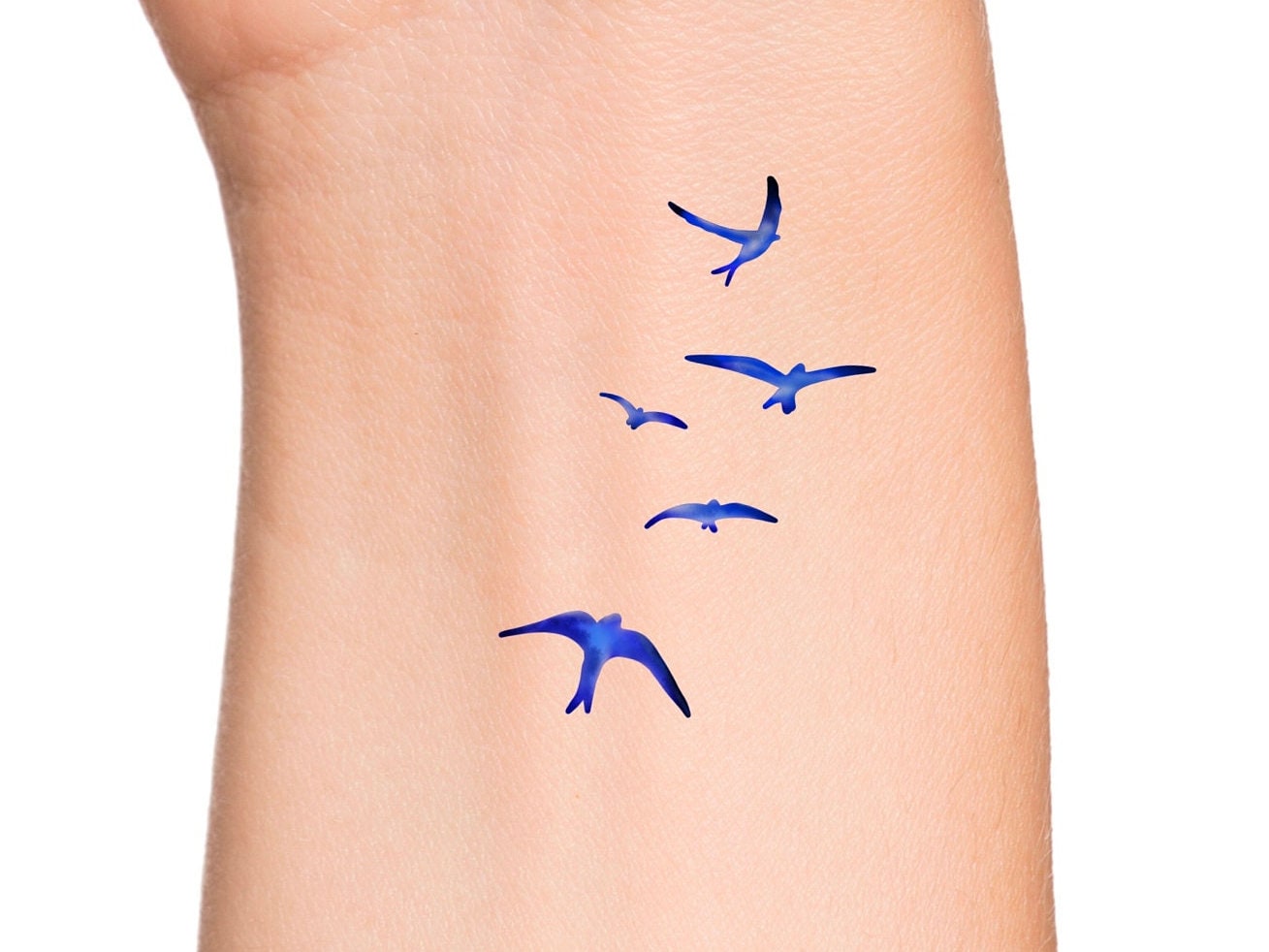 Blue Bird Tattoo Photographic Prints