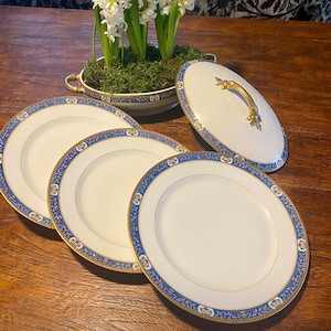 Fine Limoges porcelain, old plates with vegetable dish