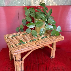 Peut inclure: Un petit support de plante rectangulaire en bambou avec un dessus et des pieds tressés. Le support contient un pot doré avec une plante verte. Le support est sur une surface rouge. La plante a des feuilles vertes avec des taches blanches.