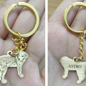 Portachiavi personalizzato con foto di cani incisi, portachiavi personalizzato con foto di gatti, regalo per gli amanti degli animali domestici, regalo di simpatia per la perdita degli animali domestici, memoriale degli animali domestici Oro