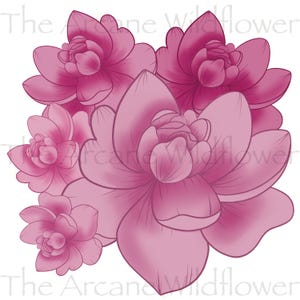 Peony Digital Print