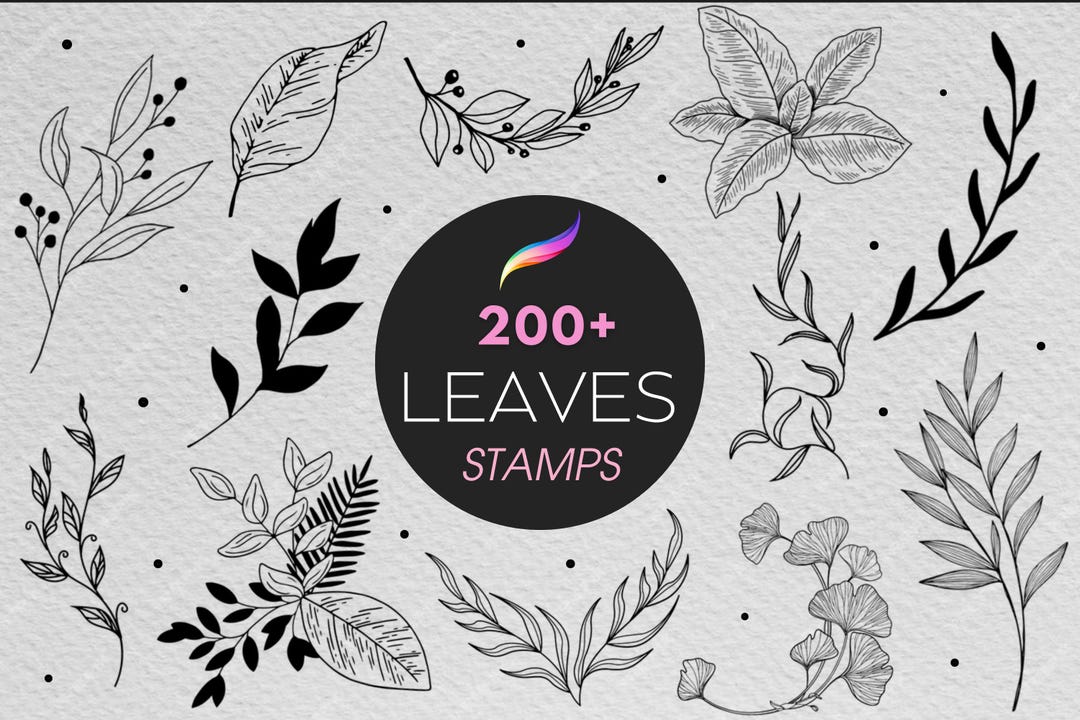 200+ Leaves Procreate Stamps | Leaf Procreate Brushes | Digital Floral ...