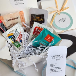 Office Survival Kit – Employee Appreciation Gift Box, Coworker Thank You, Admin Day Gift, Client or Team Recognition