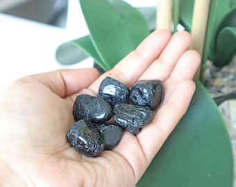 May include: A hand holding six black tumbled stones. The stones are smooth and have a slight sheen.