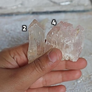 May include: Two clear quartz crystals, one with a pink hue, are held in a hand. The crystals are pointed and have a rough texture.