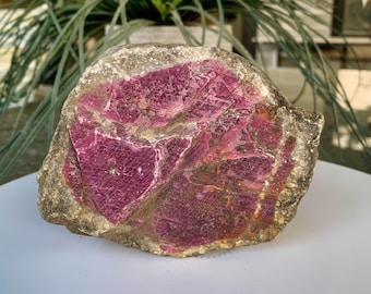 Rubíes en bruto: Ejemplares minerales grandes y medianos para energía, pasión y exhibición.