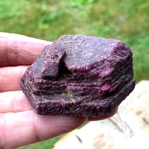 Palm-held raw ruby crystal, stepped layered growth visible, natural ruby specimen for mineral display.