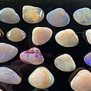 Australian Opalized Shell Fossil: Rare Coober Pedy Collector Stone