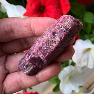 Pode incluir: Uma gema de rubi bruta, sem corte, com um tom vermelho-rosado profundo. A formação natural do cristal é visível, com superfícies texturizadas e sutis variações de cor. O rubi é apresentado sobre um fundo de flores vermelhas e brancas.