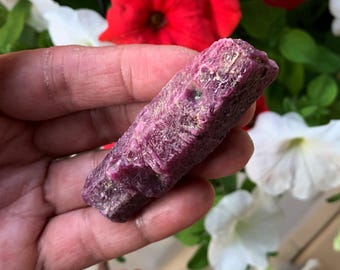 Ejemplares de cristal de rubí en bruto de Karnataka, India / Colección de minerales raros, piedra y energía curativa