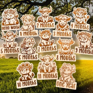 Highland Cow Baby Monthly Milestones