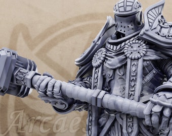 Chlodvig Paladin Miniature Dungeons Dragons DnD Mini 28mm 32mm Scale -  Paladins of the Silver Lion - Daybreak Miniatures