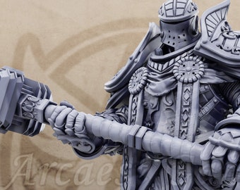 Paladin Miniature - Chlodvig - Dungeons and Dragons Paladin DnD Mini -  Paladins of the Silver Lion - Daybreak Miniatures