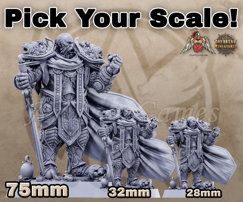 Paladin Erasmus Paladin Dungeons and Dragons Miniature DnD Mini Paladins of the Silver Lion Daybreak Miniatures image 6