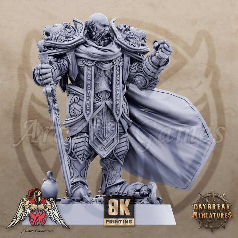 8K Paladin | Erasmus du Tranchant | The Paladins of the Silver Lion | D&D, Dungeons Dragons, Pathfinder, Age of Sigmar, Dnd | Daybreak Miniatures