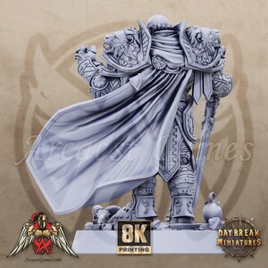 8K Paladin | Erasmus du Tranchant | The Paladins of the Silver Lion | D&D, Dungeons Dragons, Pathfinder, Age of Sigmar, Dnd | Daybreak Miniatures