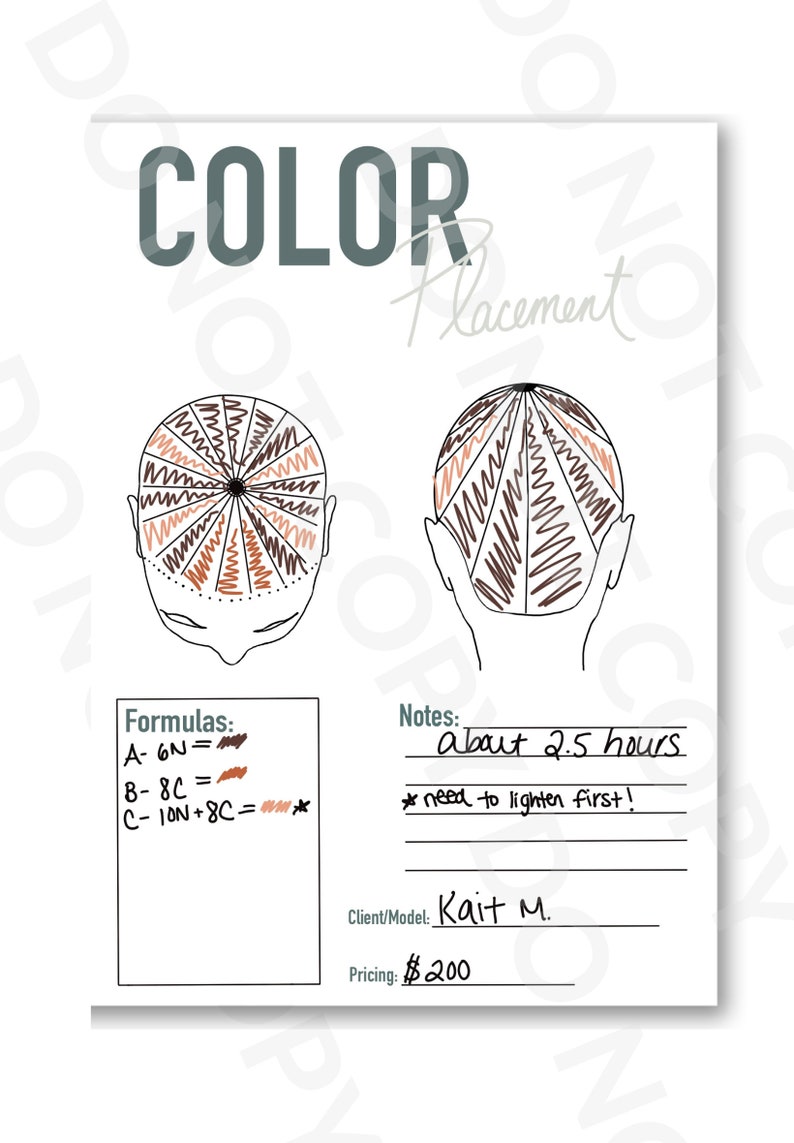 Color Placement Sheet, Blank Head Sheet for Salons, Hairstylist ...