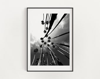 California Palm Tree Print, Tropical Wall Art, Black and White Palm Tree Photography, Large Printable Poster, Digital Download