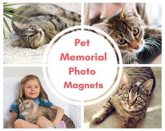 Pet Memorial Photo Magnet Gift, Custom Fridge Magnet for Cat Dog, Pet Loss, Remembrance Magnet, Pet Lover Gift, Printed with Your Memories