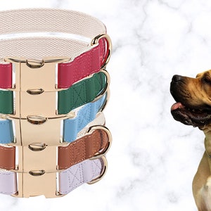 May include: Five dog collars stacked on top of each other. The collars are made of a canvas material and have a gold metal buckle. The collars are in the colours white, red, green, blue, brown, and purple.