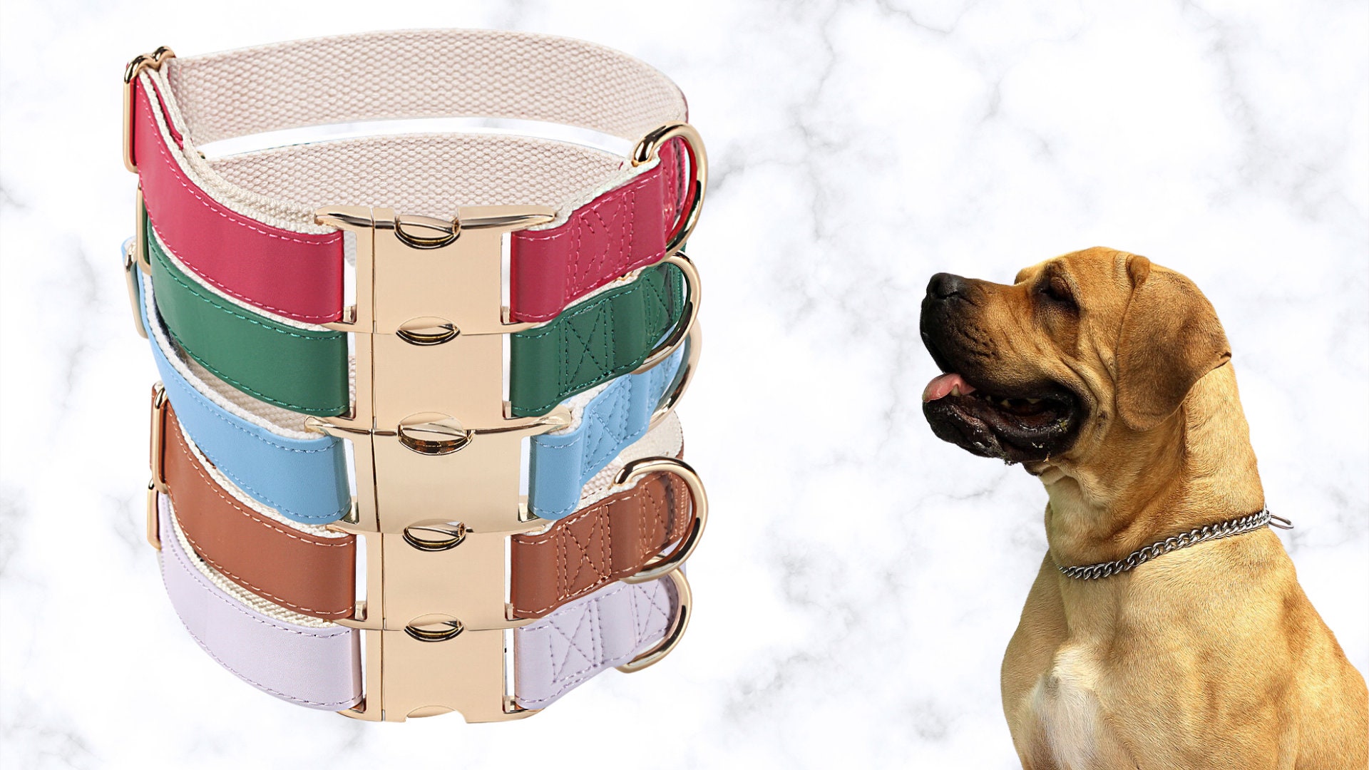 Etsy dog best sale collars and leashes