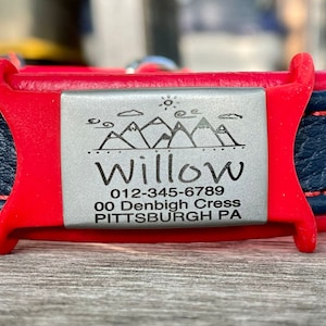 May include: Red and blue leather dog collar with a silver tag engraved with the name "Willow", phone number, address, and a mountain scene.