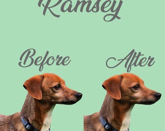 Retrato de mascota personalizado