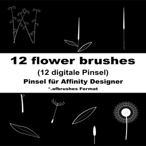 Flower brushes package 2 | Digital flower brushes for Affinity Designer