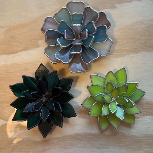 Stained Glass Succulent Waterless Plant Cactus Succulent Etsy