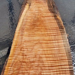 Curly maple 1 piece (B439)