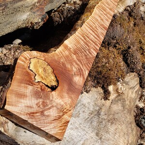 Curly maple 1 piece (B353)