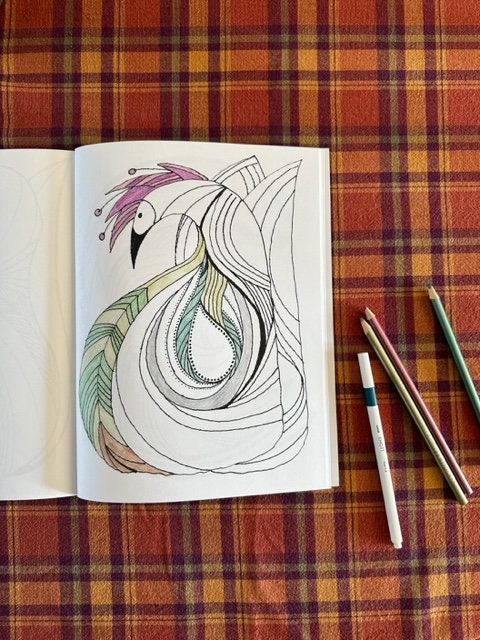 Abstract Bird Coloring Book | 30 Pages | Relaxing and Calming ...