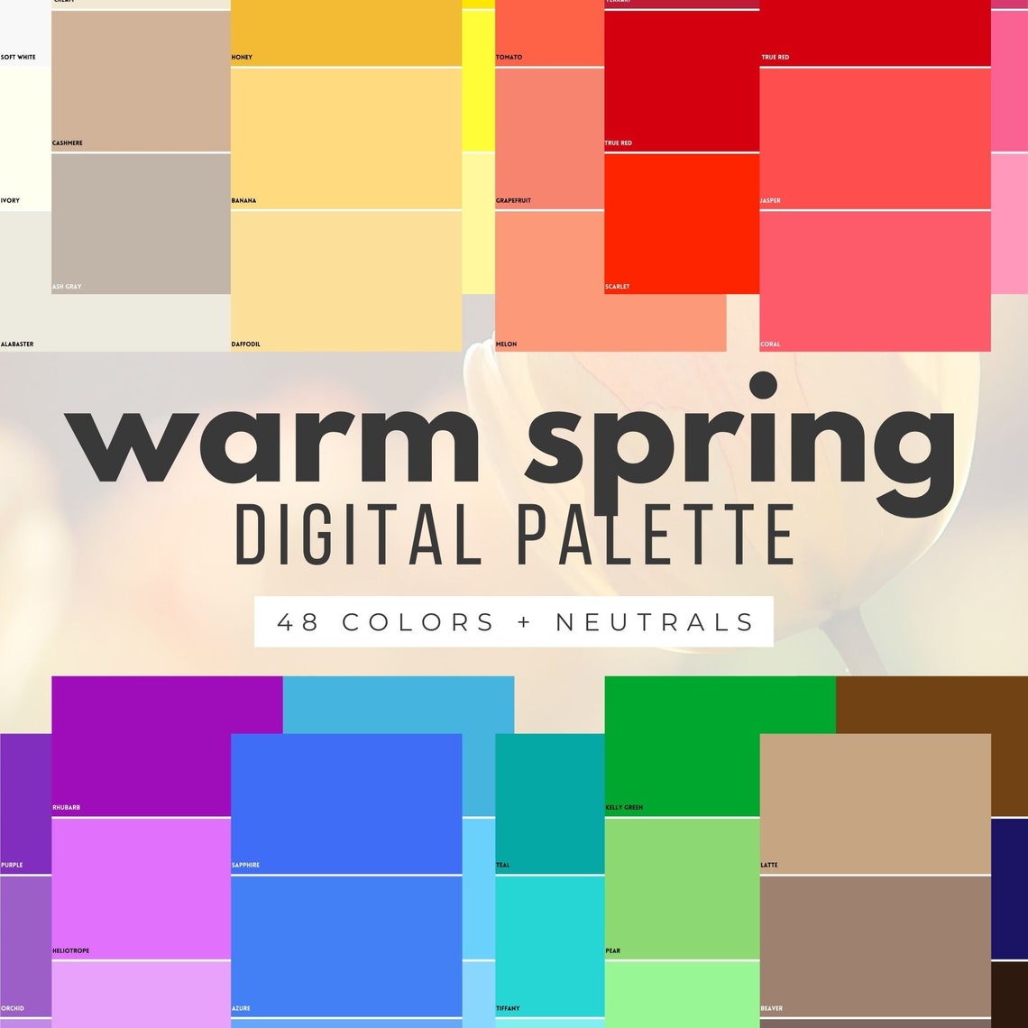 Warm Spring Color Palette DIGITAL SWATCH FAN 12 Seasons, Color Analysis ...