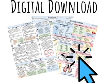 Respiratory System Nursing Assessment Guide