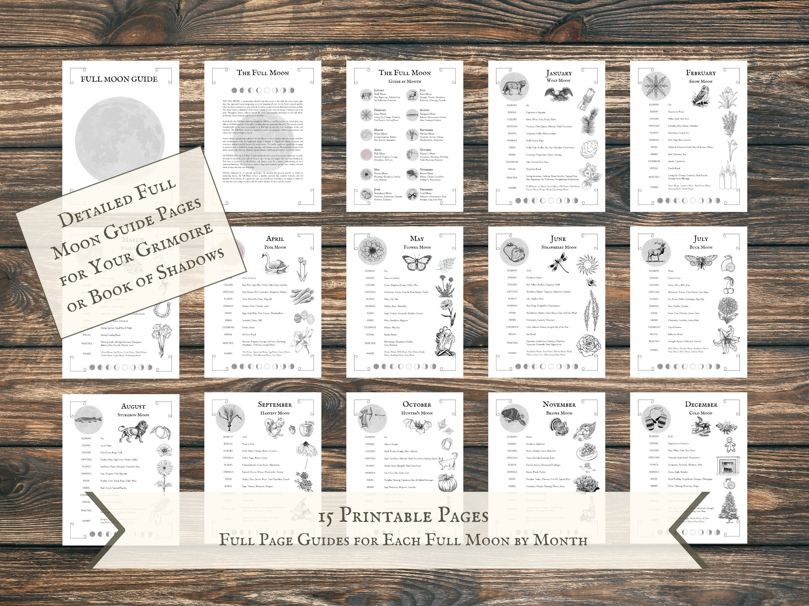 Full Moon Guide by Month, Monthly Full Moon Guide Pages, DIY Grimoire ...