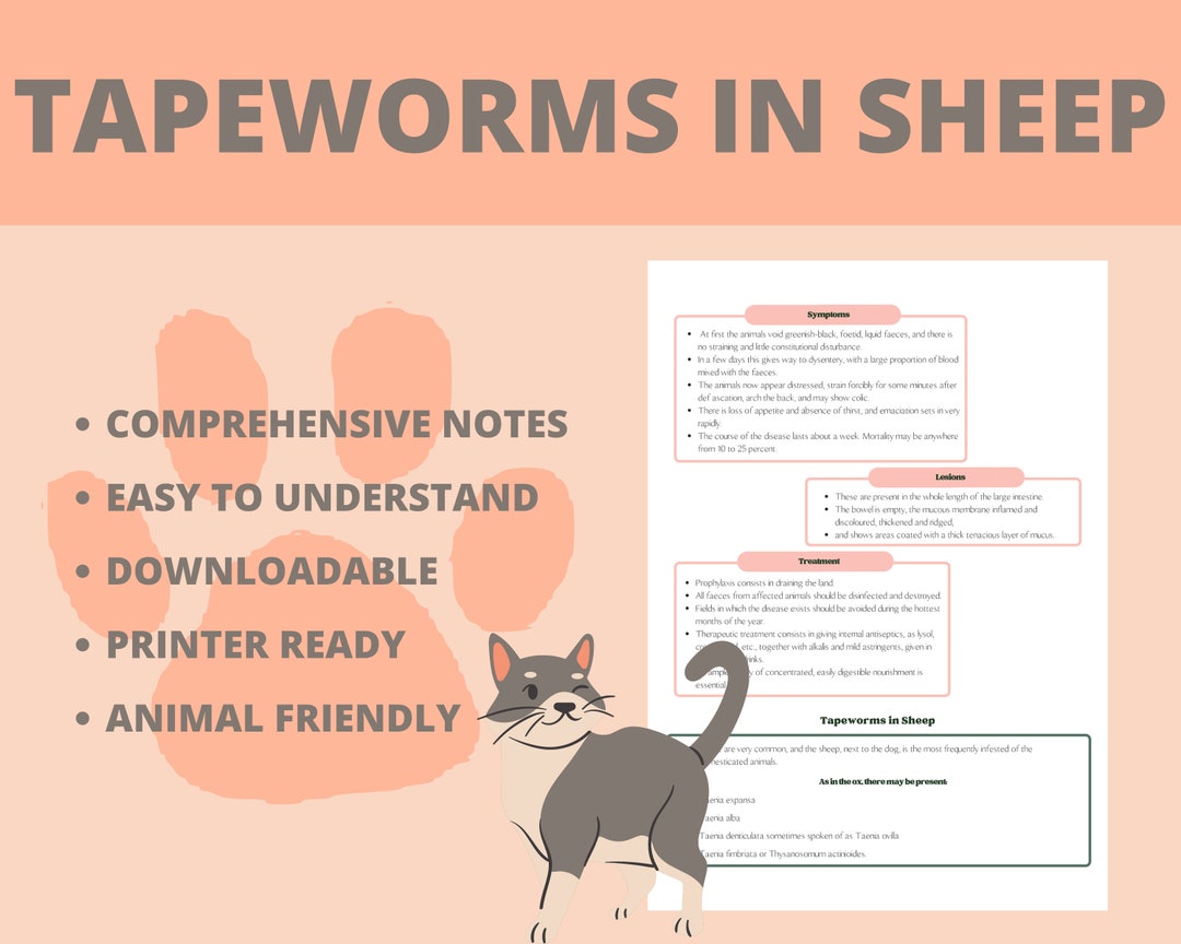 Veterinary Tapeworms in Sheep Study Template Premade Notes Etsy UK