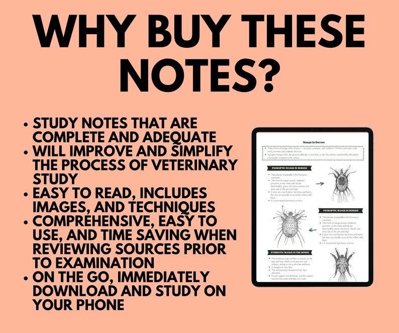 Vet Anatomical Planes and Terms Learn Veterinary Printable Etsy