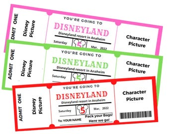 Disney World, Disney Land Surprise, Secret, Souvenir Ticket