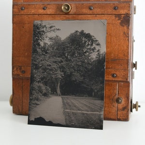 Wet-Plate Wet Plates Photo &quot;The Park&quot;