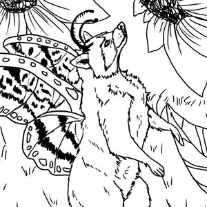 Raccoon Fairy downloadable Coloring Page