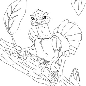 Small Rainforest Creature Animal Hybrid Downloadable Coloring Page