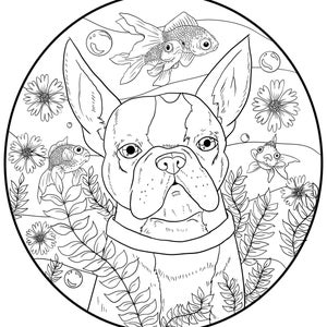 Boston Terrier Downloadable Coloring Page