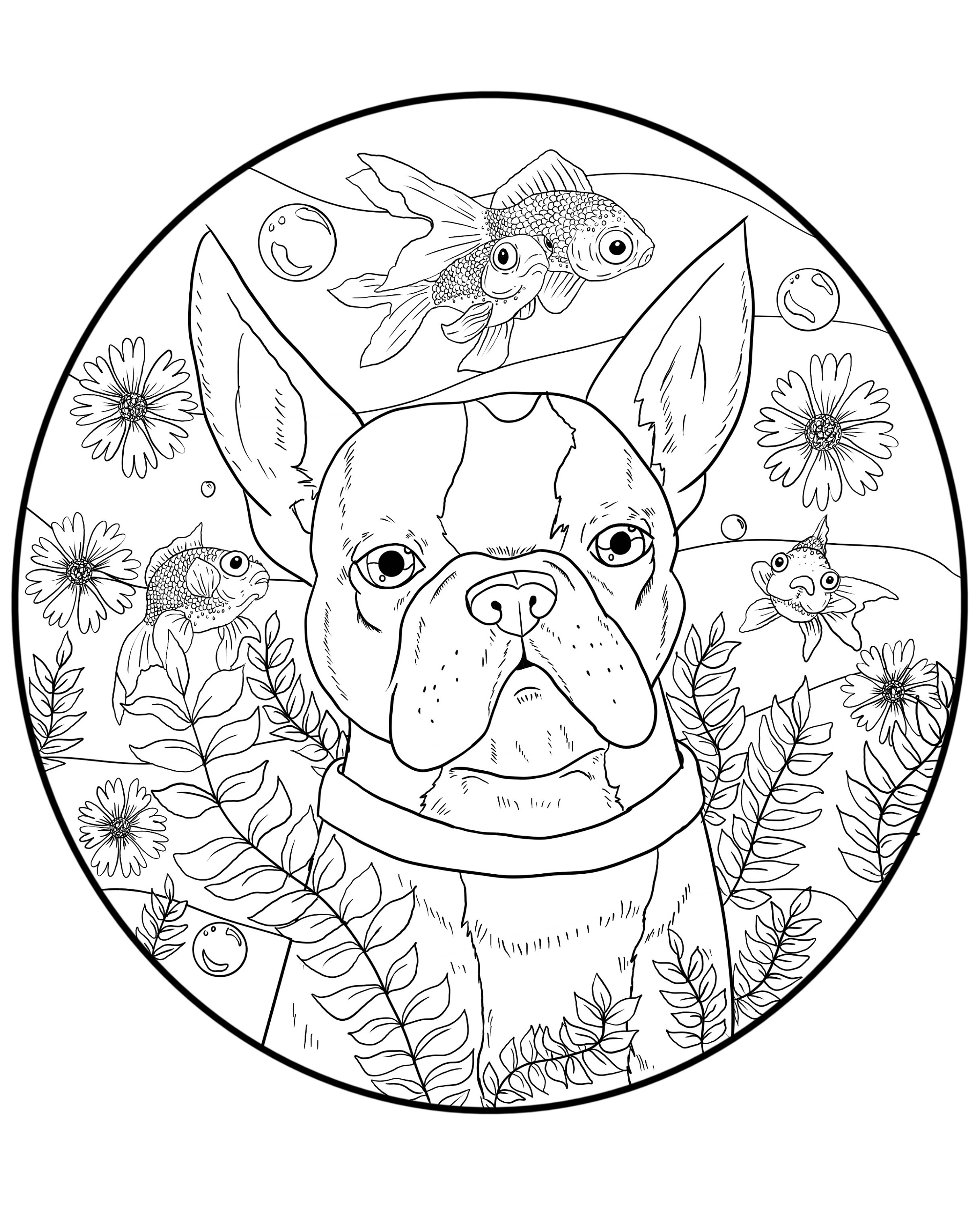 Boston Terrier Mandala Coloring Book For Adults (Paperback)