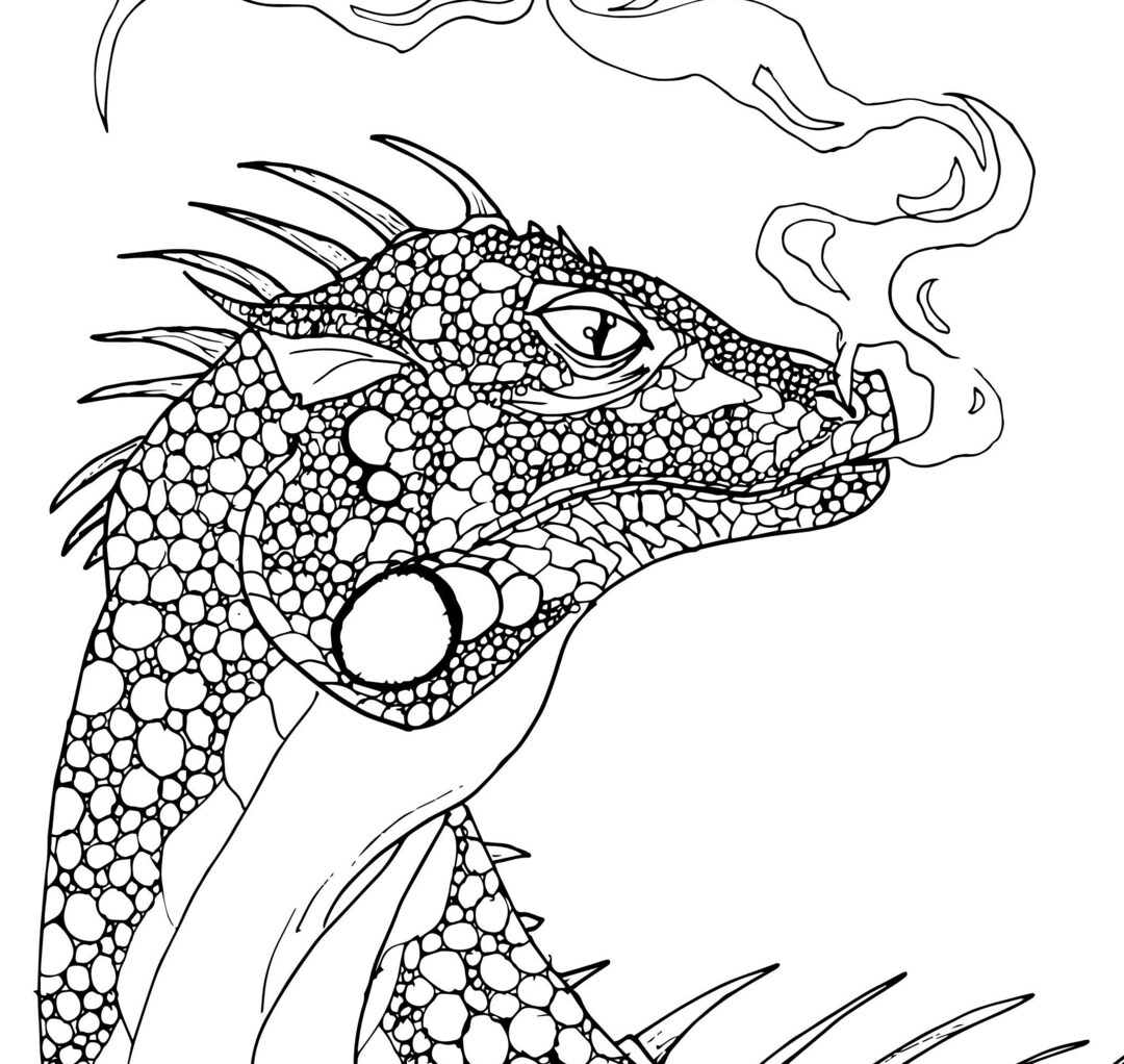 Dragon Printable Coloring Page - Etsy