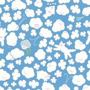 Preorder - Float Ruby Star Society Cloudy Ripple RS 1144 16 (by the half yard)
