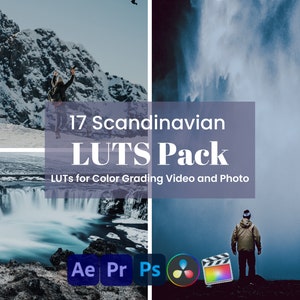 17 LUT preimpostate per video e foto/lut SCANDINAVIAN per paesaggio/lut vlog/Premiere Pro/luts Photoshop/CUBE/luts fcpx