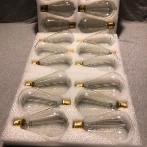 Op de afbeelding: Een set van 12 heldere glazen gloeilampen met gouden fittingen, gerangschikt in een witte doos met schuimrubberen vulling.
