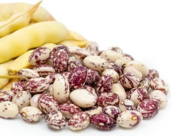 Frijol de enrame Stallard de la Buena Madre - Phaseolus vulgaris - Vegetal ancestral poco común