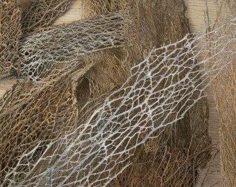 Cholla Latice Lace - Perfecta para terrarios bioactivos y acuarios de gambas - Excelente alimento para colémbolos o isópodos